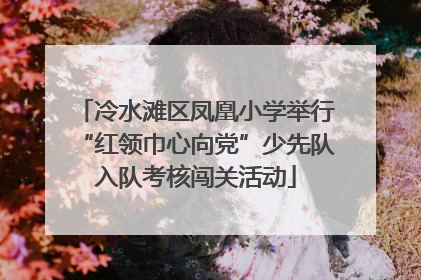 冷水滩区凤凰小学举行“红领巾心向党”少先队入队考核闯关活动